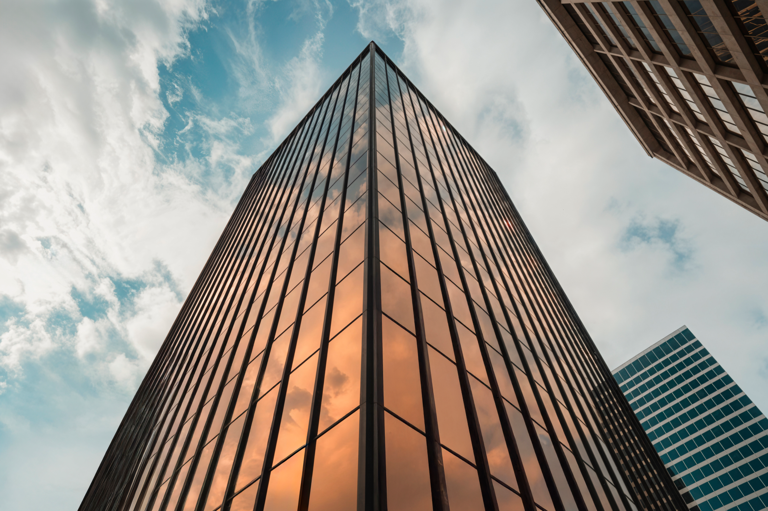 OPC vs Private Limited Company: Which Structure Is Right for Solo Founders?